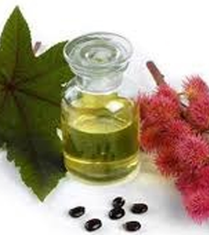 CASTOR OIL - HİNT YAĞI